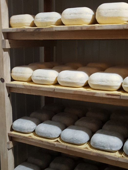 Experiencias gastronómicas y visitas Galicia Allariz