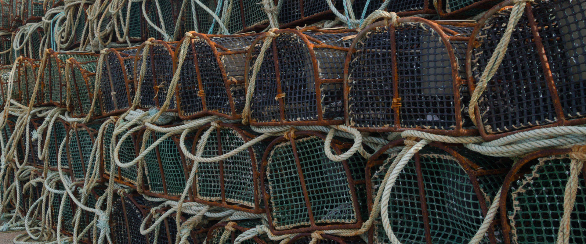 xoia tour of Rias Baixas Galicia: fishing theme