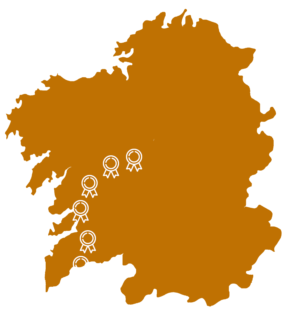 Camino Portugués gastronomic experiences