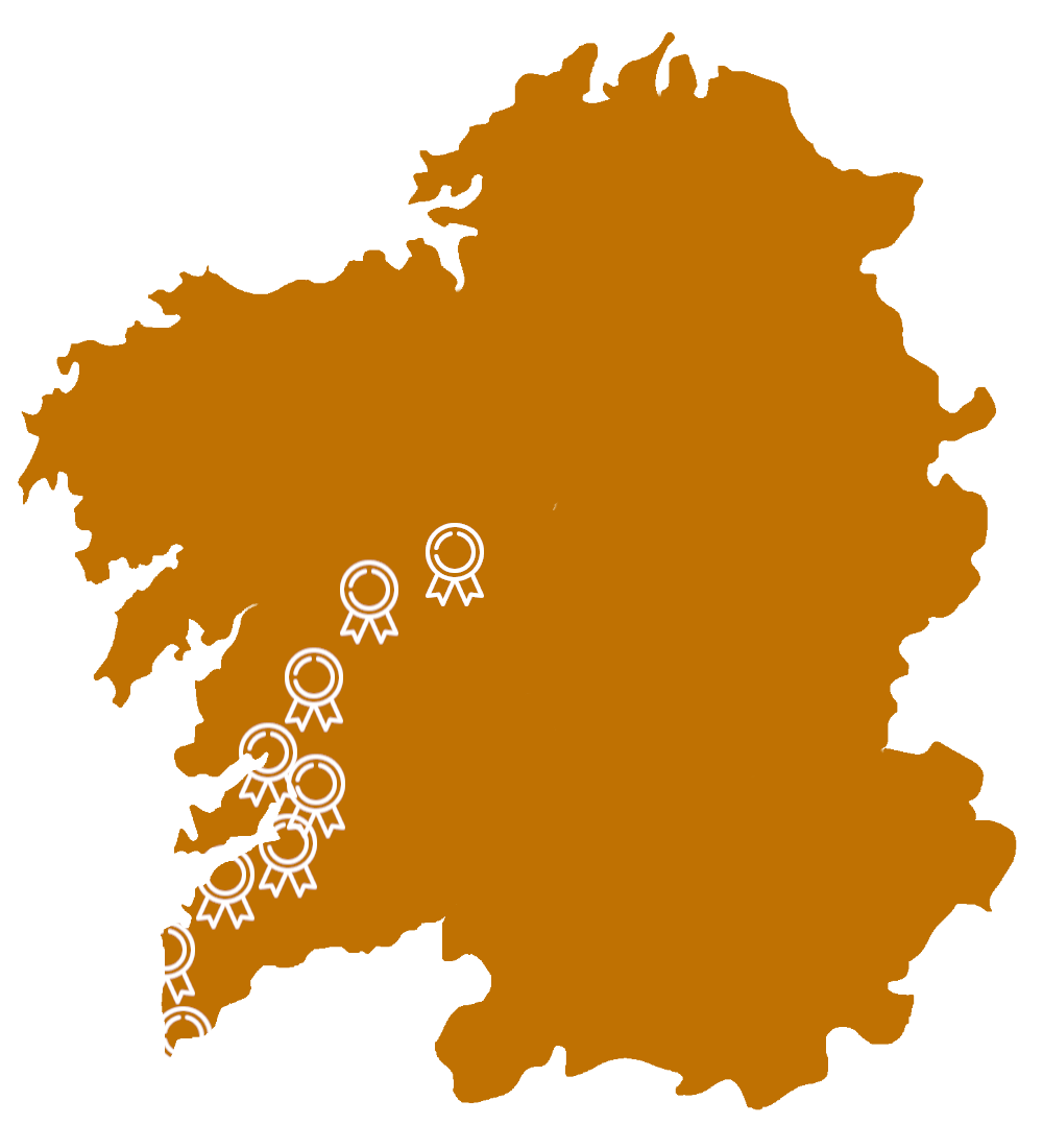 camino portuguese by the coast galicia
