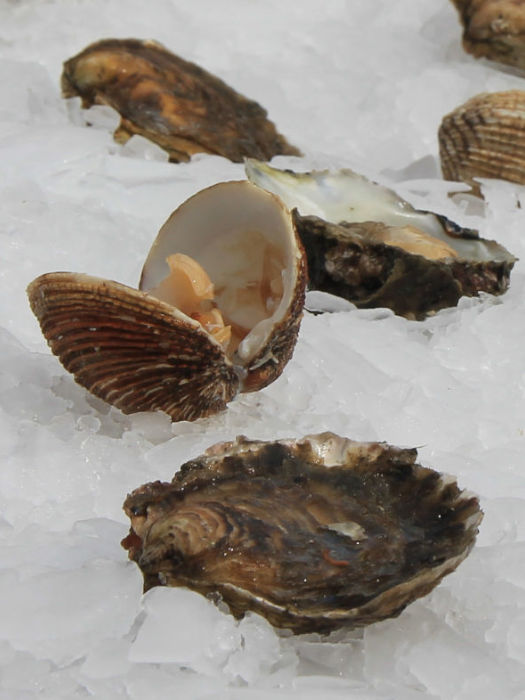 AMEIXA: del vino y del mar en Arousa