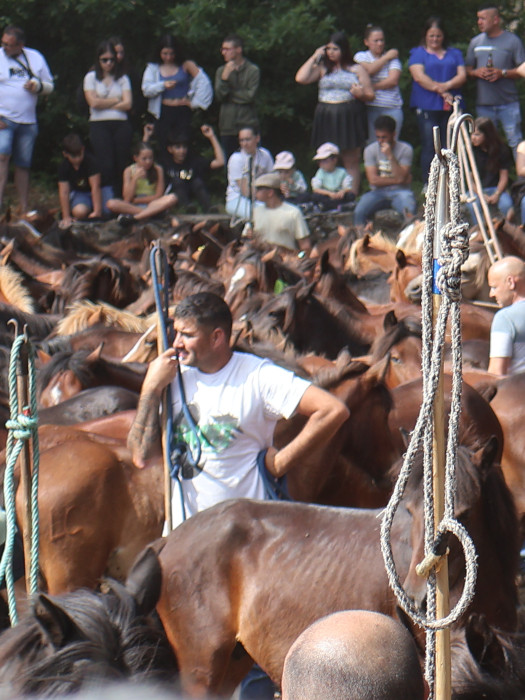 Experiencia ecuestre Galicia Oia