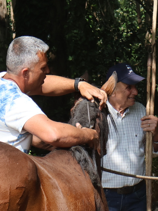 CURRO: Experiencia ecuestre en Oia