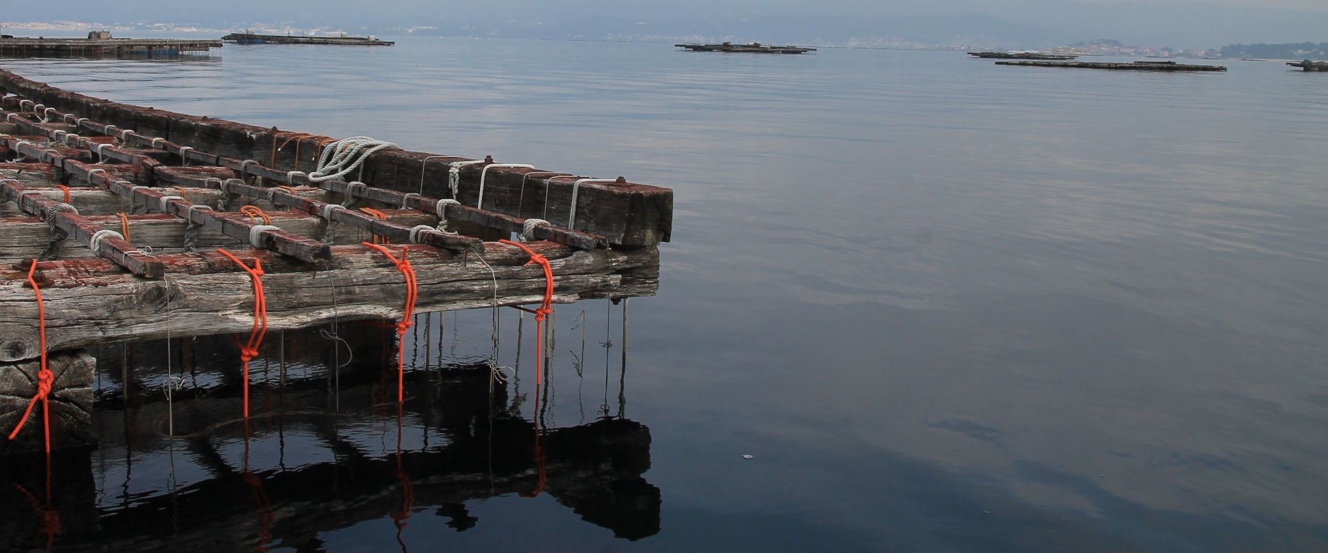 AMEIXA: del vino y del mar en Arousa