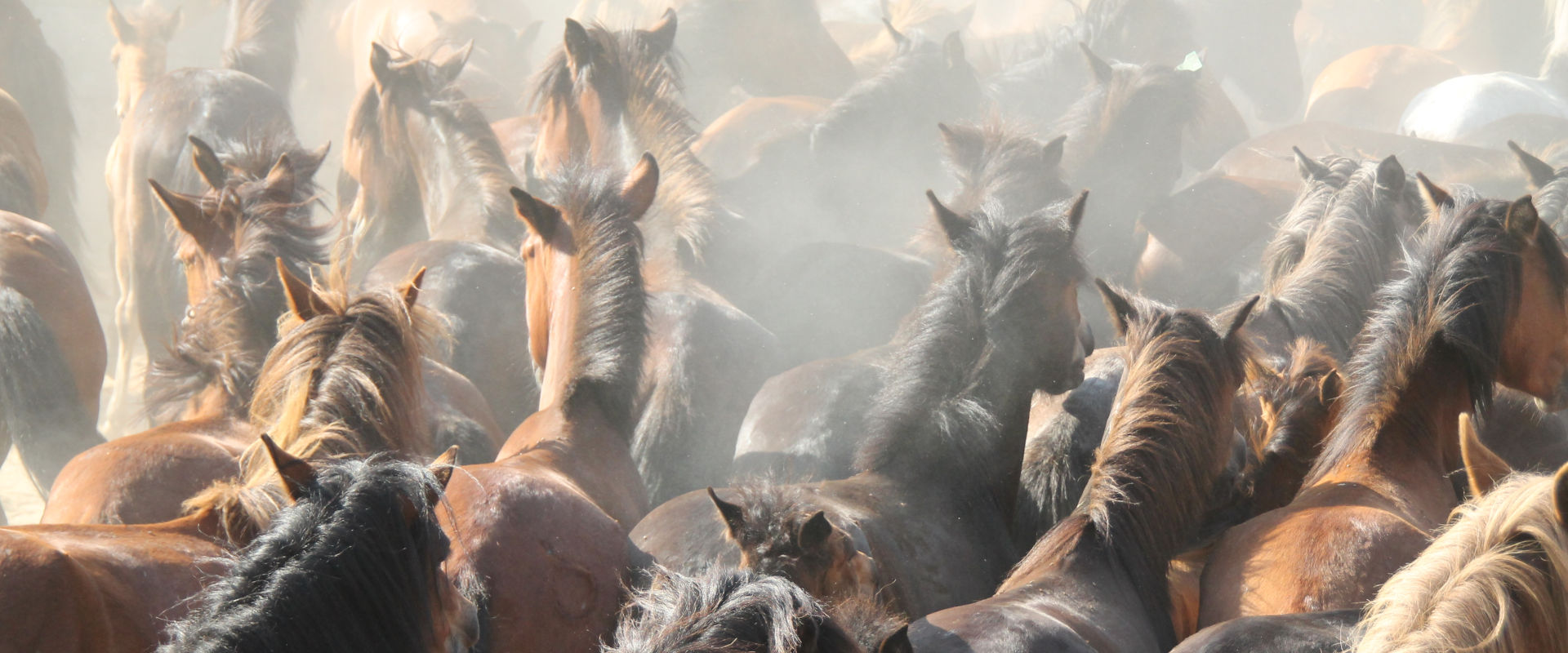 RAPA: Únete a la Expedición a Sabucedo