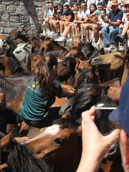 Rapa das Bestas Equine experience Spain