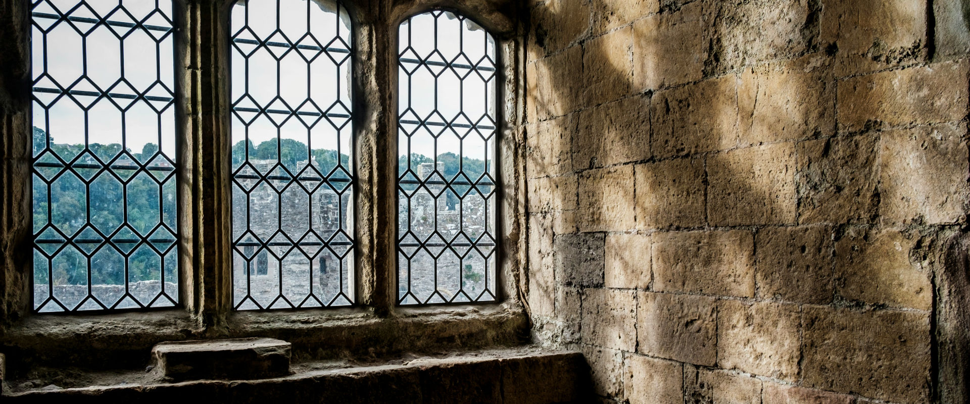 travel back in time special interest tours